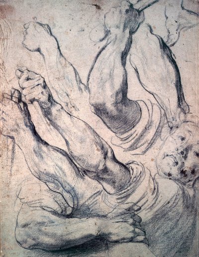 Imagen Desconocida de Peter Paul Rubens