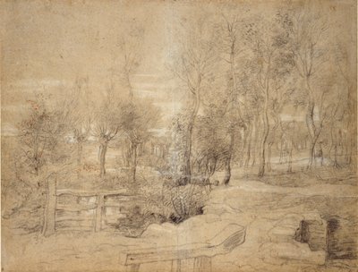 Escena del Bosque de Peter Paul Rubens