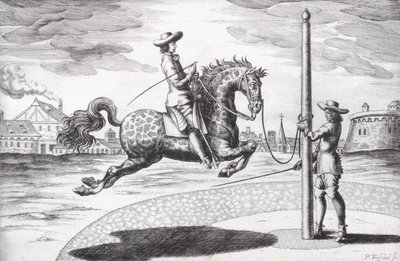 Un caballo en cabriola del Nuevo Tratado para la Cría de Caballos, grabado por el artista, pub. 1672 de Peter Paul Troschel