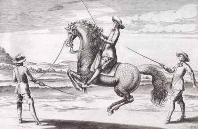 Ilustración de un caballo en Croupade del Nuevo Tratado para la Cría de Caballos escrito por Winters, Stuterey y Reit-Schul, pub. 1672 de Peter Paul Troschel