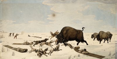 Caza de búfalos, c.1822-1824 de Peter Rindisbacher