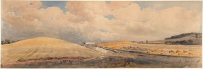 Campos de maíz cerca de la estación de Tring, Hertfordshire de Peter de Wint