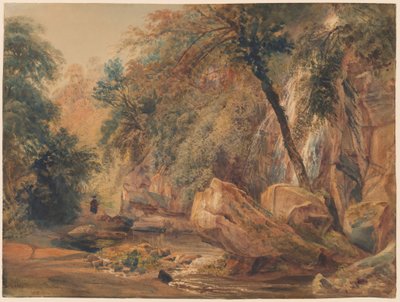 Cascada en el Dingle en Badger Hall de Peter de Wint