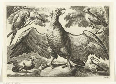 Águila Especies de Diversarum avium (título de la serie) Aves diferentes (título de la serie) de Peter van Liesebetten