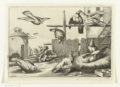 Palomas en un palomar Especies de Diversarum avium (título de la serie) Aves diferentes (título de la serie) de Peter van Liesebetten