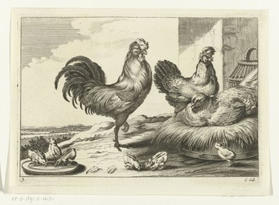Gallina, gallos y pollitos Especies de Diversarum avium (título de la serie) Aves diferentes (título de la serie) de Peter van Liesebetten