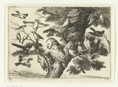 pájaros en un árbol Especies de Diversarum avium (título de la serie) Aves diferentes (título de la serie) de Peter van Liesebetten