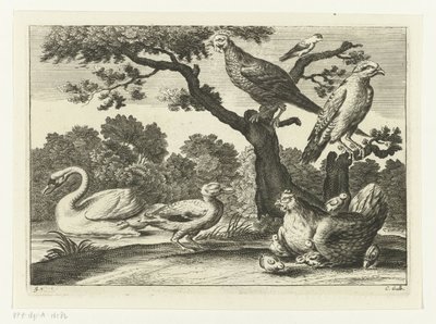 Cisne, pollo con pollitos y otras aves. Especies de Diversarum avium (título de la serie) Aves diferentes (título de la serie) de Peter van Liesebetten