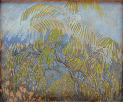 Mimosa de Petr Savvic Utkin