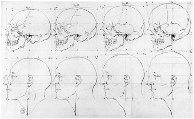 Transición del mono a Apolo, ilustración de 