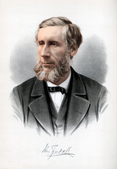 Profesor John Tyndall, filósofo natural irlandés, c1890 de Petter and Galpin Cassell