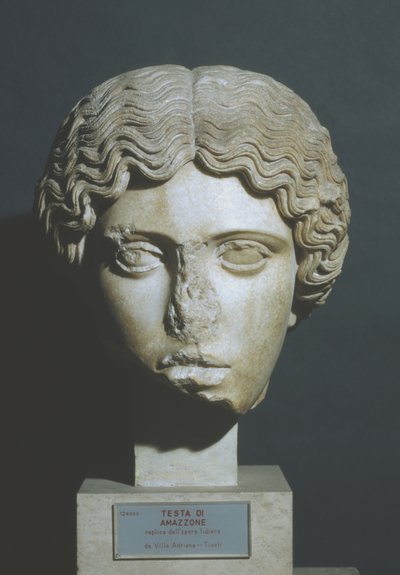 Cabeza de Amazonas de Phidias Phidias