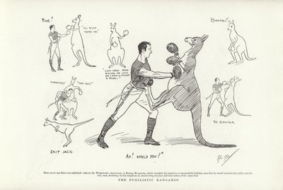 El canguro pugilista de Phil May