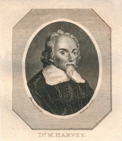 Dr. W. Harvey, c1800 de Philip Audinet