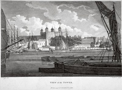 Vista de la Torre de Londres con barcos en el río Támesis de Philip Audinet
