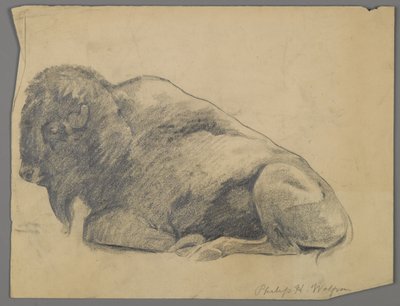 Bisonte de Philip H. Wolfrom