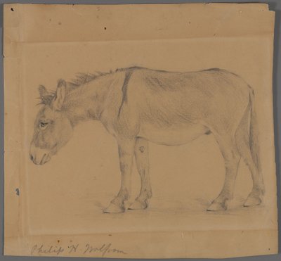 Burro de Philip H. Wolfrom