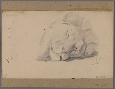 Cabeza de un león durmiendo de Philip H. Wolfrom