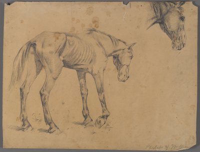 Caballo y cabeza de caballo de Philip H. Wolfrom