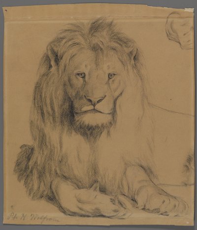 León de Philip H. Wolfrom