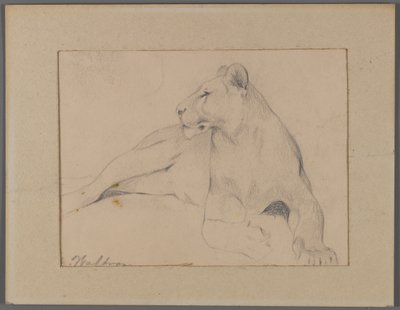 Leona sentada de Philip H. Wolfrom
