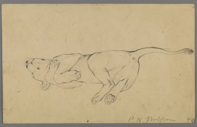 Leona durmiendo de Philip H. Wolfrom