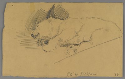 Oso polar durmiendo de Philip H. Wolfrom