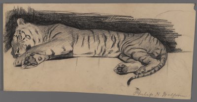 Tigre durmiendo de Philip H. Wolfrom