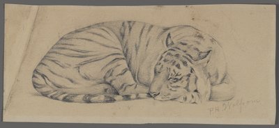 Tigre durmiendo de Philip H. Wolfrom