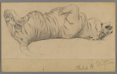 Tigre durmiendo de Philip H. Wolfrom