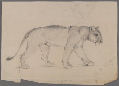 Leona caminando de Philip H. Wolfrom