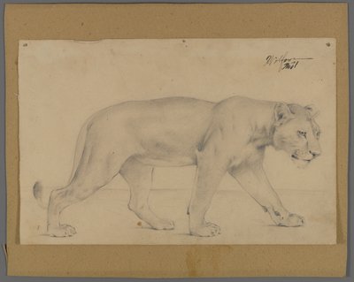 Leona caminando de Philip H. Wolfrom