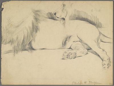 Estudios de un león de Philip H. Wolfrom