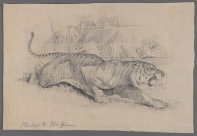 Tigre en el paisaje de Philip H. Wolfrom