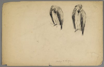 Buitres de Philip H. Wolfrom