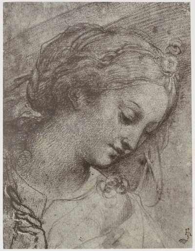 Carlo Dolci, Cabeza de la Virgen de Philip Henry Delamotte