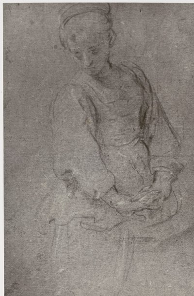 Domenichino, Dolor de Philip Henry Delamotte