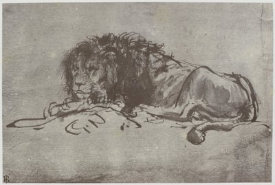 Rembrandt, un león de Philip Henry Delamotte