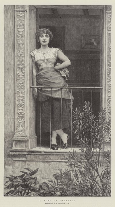 Una Rosa de Provenza de Philip Hermogenes Calderon