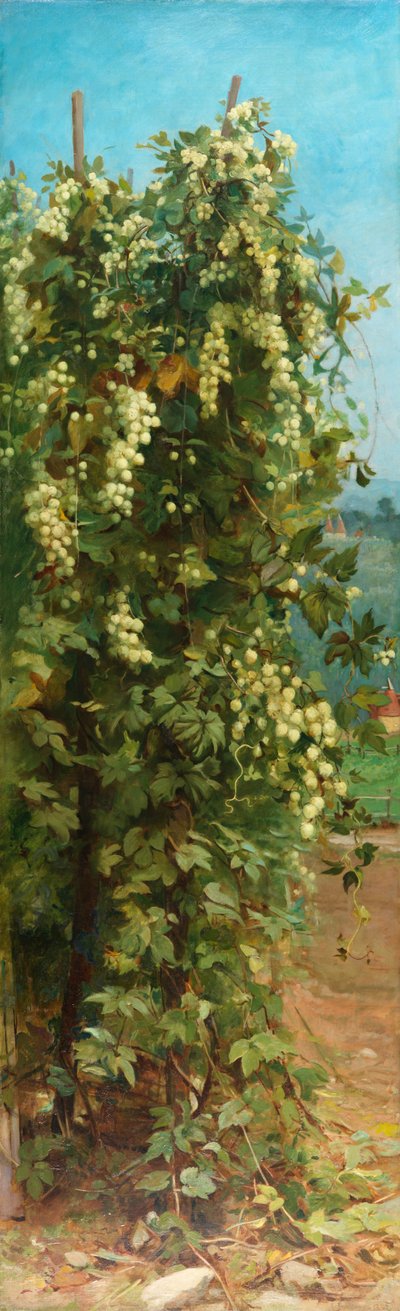Lúpulos de Philip Hermogenes Calderon
