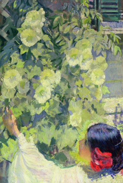 Malvarrosas, c.1923 (óleo sobre lienzo) de Philip Leslie Hale