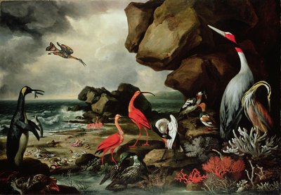 Un Pingüino, un Par de Flamencos y Otros Pájaros Exóticos, Conchas y Coral en la Orilla de Philip Reinagle
