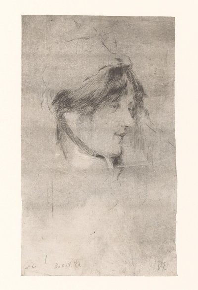 Cabeza de mujer
La Bête à Bon Dieu (título original) de Philip Zilcken (signed by artist)