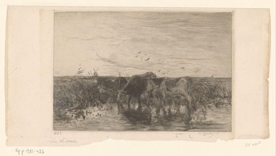 Vacas cerca del agua en un prado
Vaches au bord de l