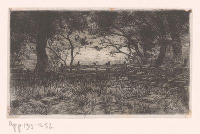 Pradera con valla y árboles
Kranenburg (título original) de Philip Zilcken