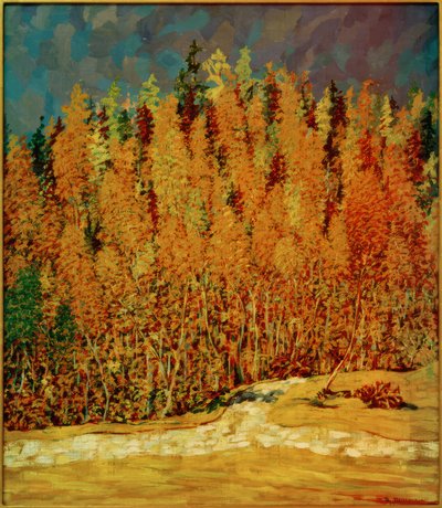 Bosque de otoño de Philipp Bauknecht