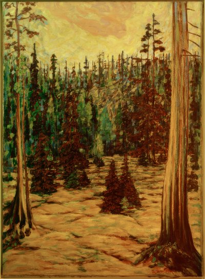 Bosque de verano de Philipp Bauknecht