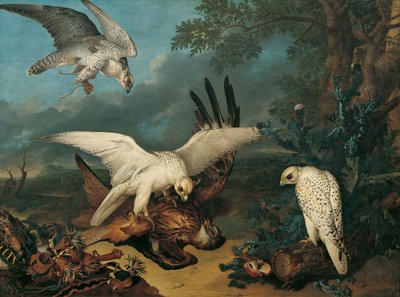 Un milano real derrotado por halcones islandeses de Philipp Ferdinand de Hamilton
