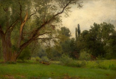 En el parque de Kleinheubach am Main de Philipp Röth