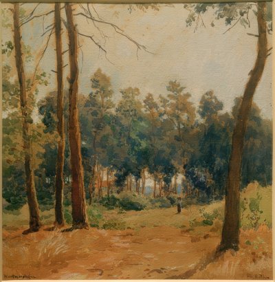 Paisaje forestal en Hartmannshofen de Philipp Röth